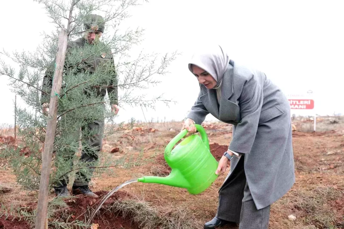 Bakan Göktaş, depremde hayatını kaybedenlerin anısına hatıra ormanında fidan dikti