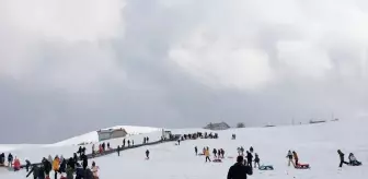 Tokat Başçiftlik Kayak Merkezi'nde Çocuklar Kızakla Kayarak Eğlendi