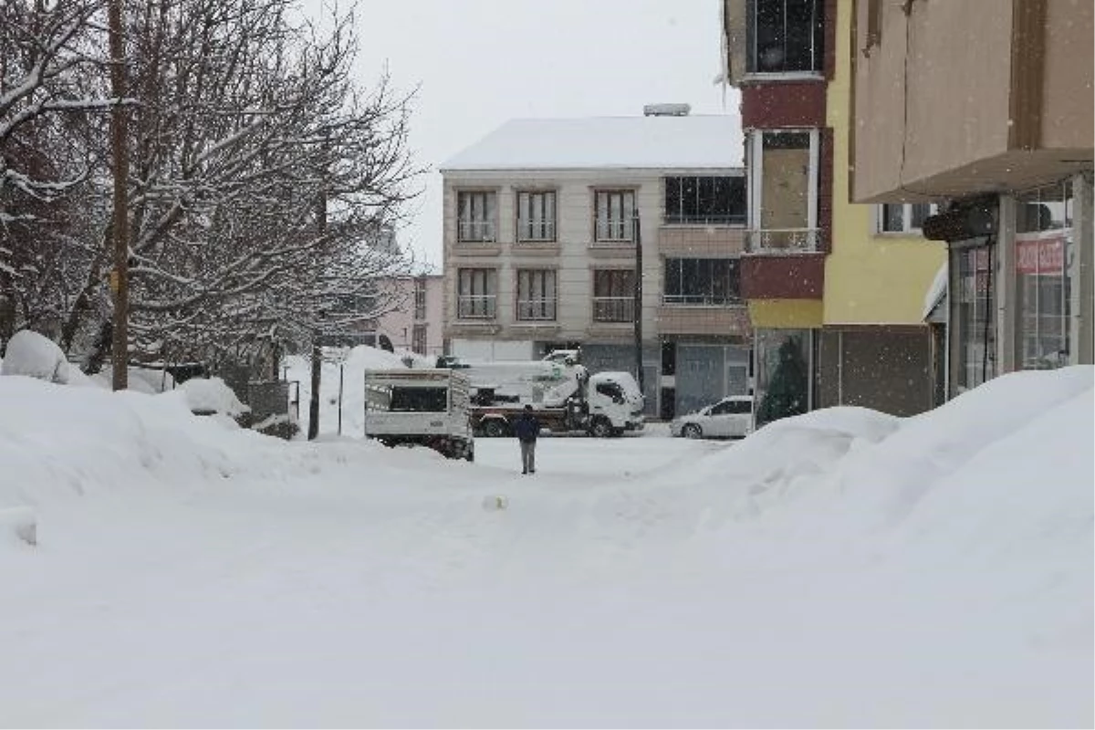 Bingöl\'ün Karlıova ilçesinde yoğun kar yağışı nedeniyle 25 köy yolu ulaşıma kapandı