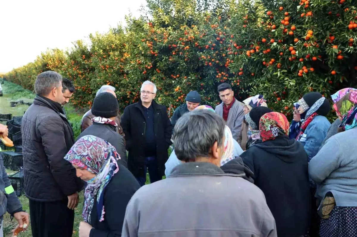 Kozan Belediye Başkanı Narenciye İşçileriyle Buluştu