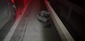 Gebze'de TIR'a arkadan çarpan otomobilde 1 ölü, 3 yaralı