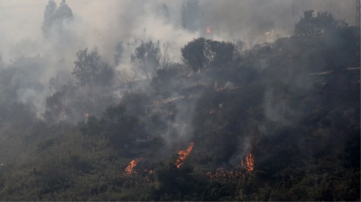Şili\'deki orman yangınlarında can kaybı 51\'e yükseldi