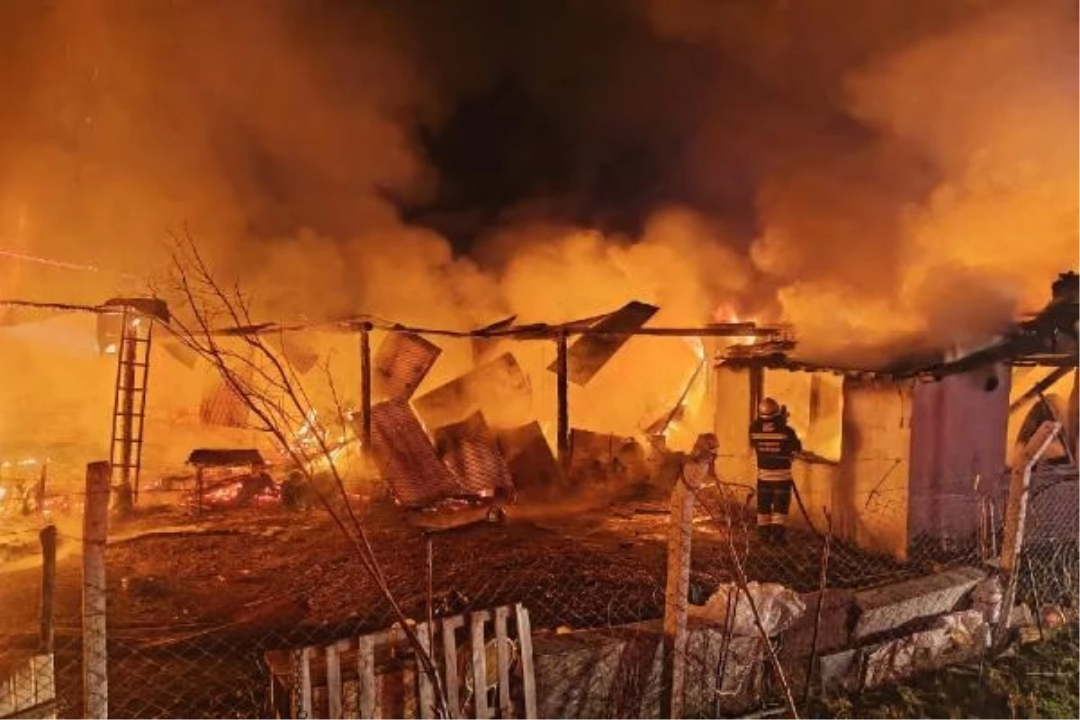 Eskişehir\'de Ahır Yangını: Ev ve Ahır Kullanılamaz Hale Geldi, 63 Küçükbaş Hayvan Öldü