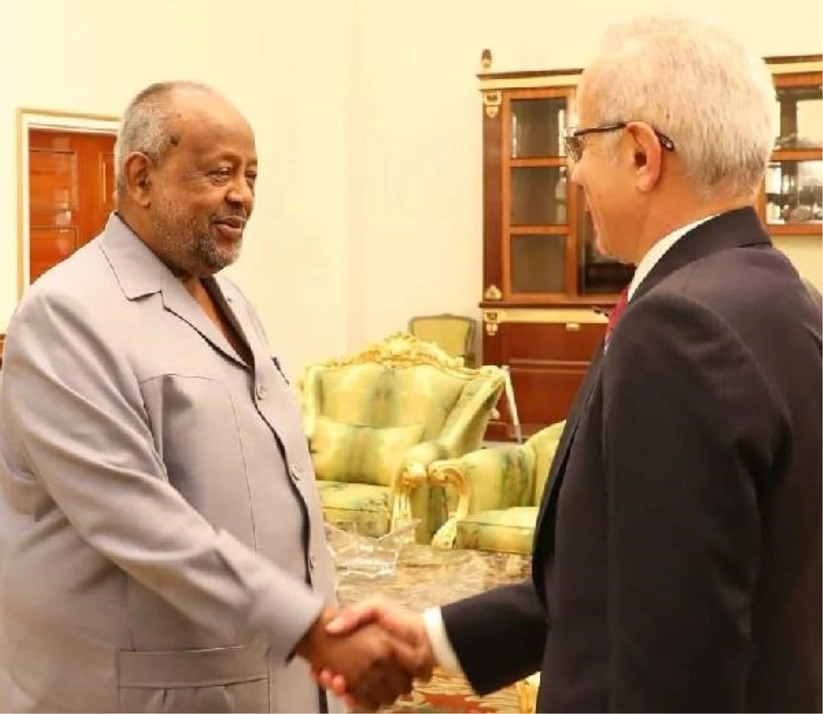 Ulaştırma Bakanı Uraloğlu, Cibuti Cumhurbaşkanı ile görüştü
