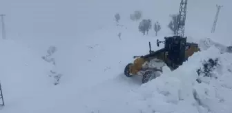 Batman'da Kar Yağışı Nedeniyle 73 Köy ve Mezra Ulaşıma Kapandı