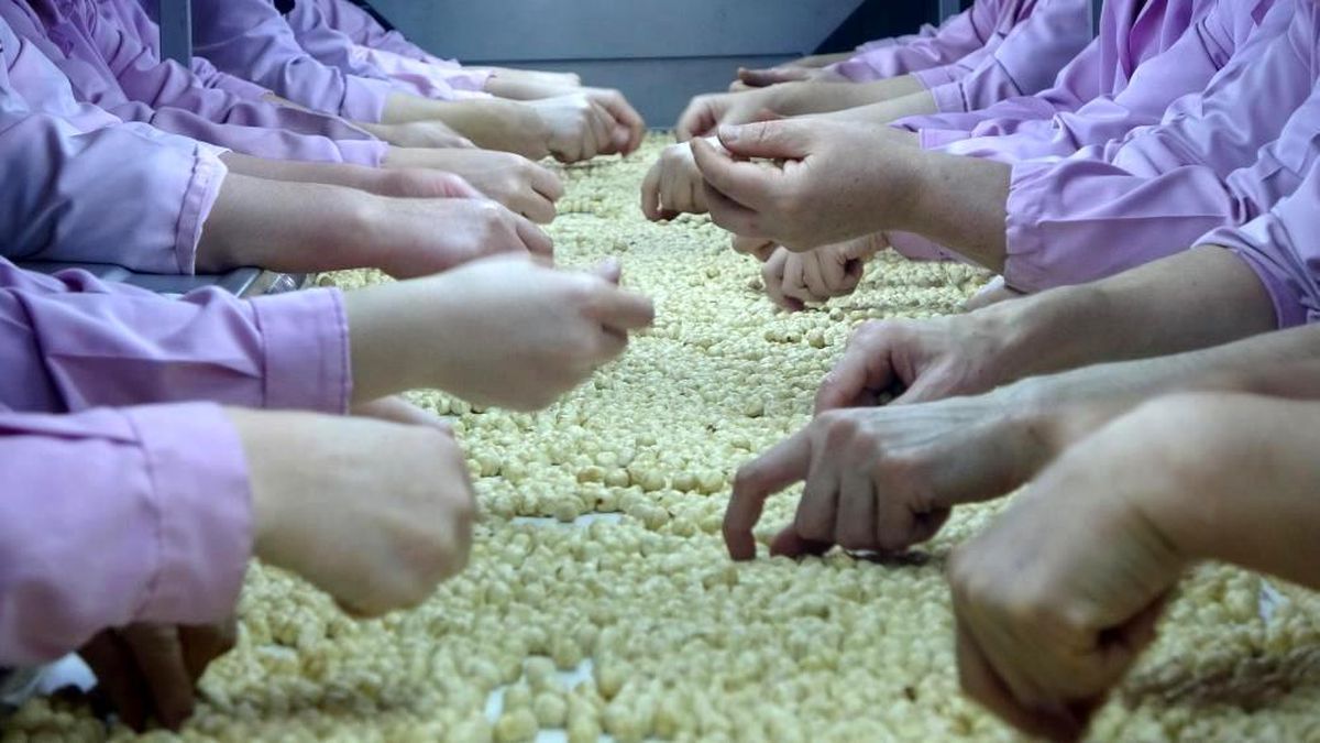 Düzce\'den Avrupa Birliği Ülkelerine Ocak Ayında 2 Bin 294 Ton Fındık İhraç Edildi