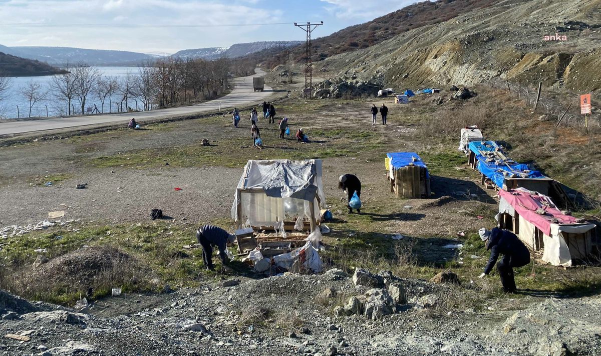 Gençler Sokak Hayvanlarına El Uzattı