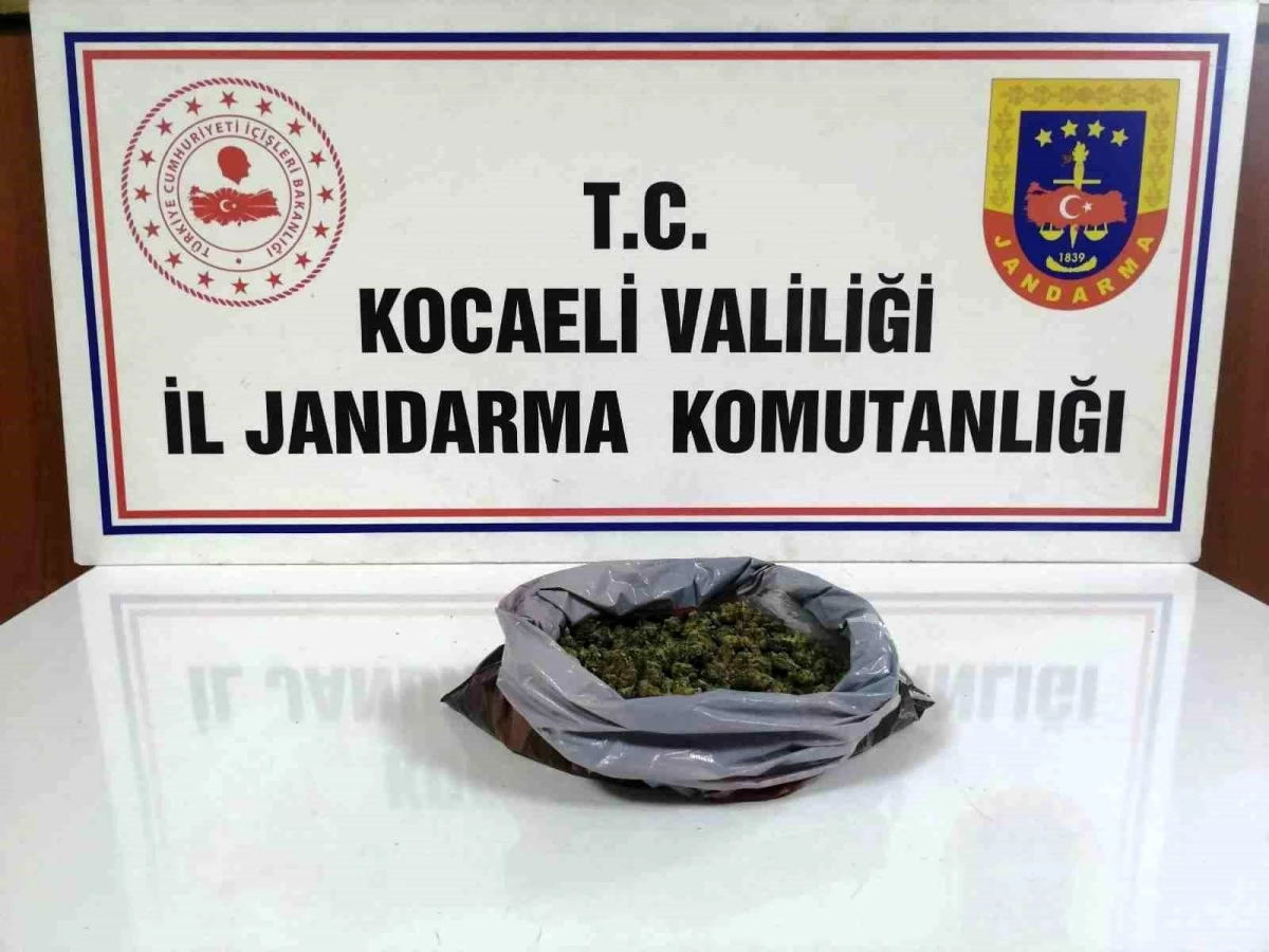 Kocaeli\'de Jandarma Operasyonunda Makaron, Tütün ve Esrar Ele Geçirildi