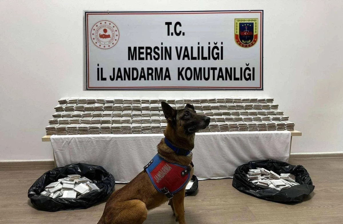 Mersin\'de 61 Bin 700 Adet Gümrük Kaçağı Makaron Ele Geçirildi