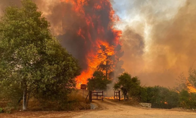 Şili'deki orman yangınlarında ölü sayısı 110'a yükseldi