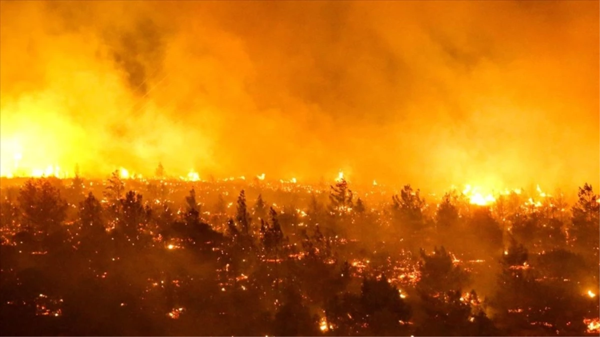 Şili\'deki orman yangınlarında ölü sayısı 110\'a yükseldi
