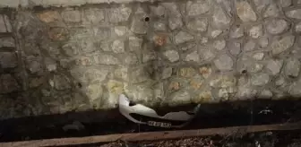 Ankara'da köprü bariyerine çarpan otomobilde 1 kişi hayatını kaybetti