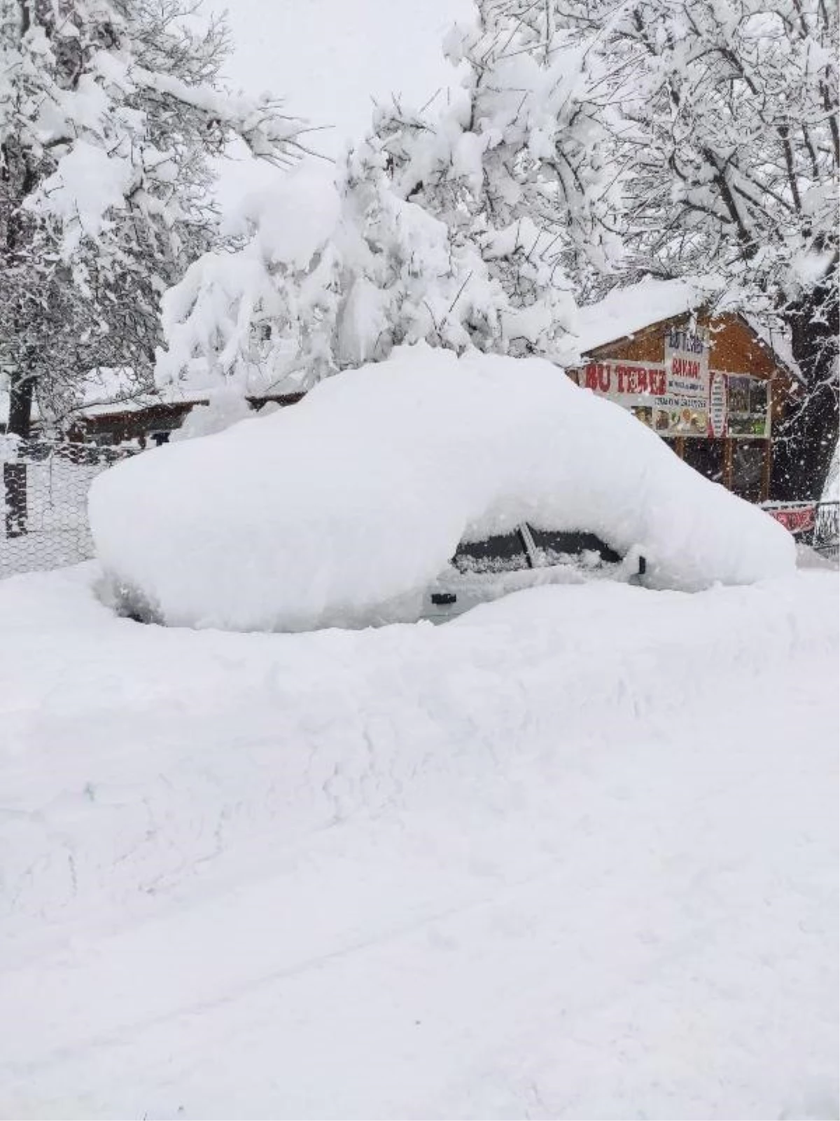 Artvin\'de etkili kar nedeniyle 119 köy yolu ulaşıma kapandı