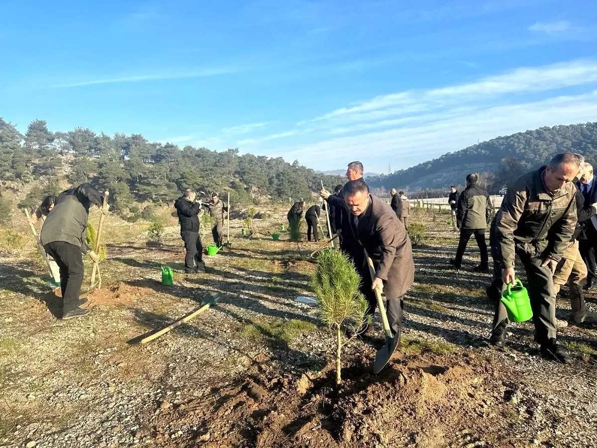 Çanakkale\'de Kahramanmaraş merkezli depremlerin 1. yıldönümünde Deprem Şehitleri Ormanı oluşturuldu