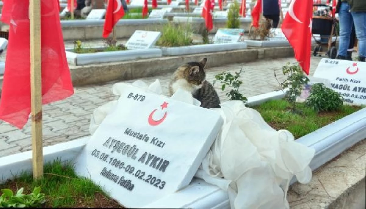 Kahramanmaraş\'ta depremde kaybettikleri yakınlarını anan kadın: \'Mezarları burada, çok şükür\'
