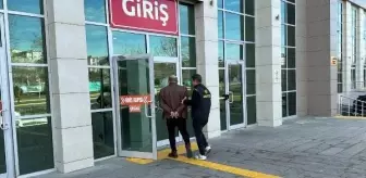 Tekirdağ'da düzenlenen operasyonda 9 kişi tutuklandı