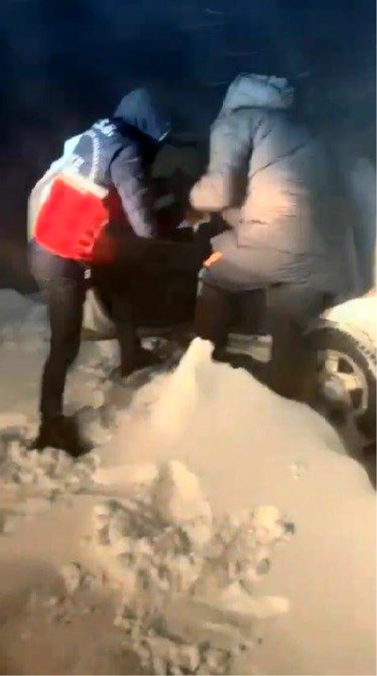 Kars\'ta donmak üzere olan 1\'i kadın 3 kişi kurtarıldı