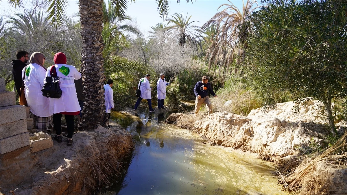 Libya\'da Zliten kentinde yer altı sularının yükselmesi sonucu evlerde hasar oluştu