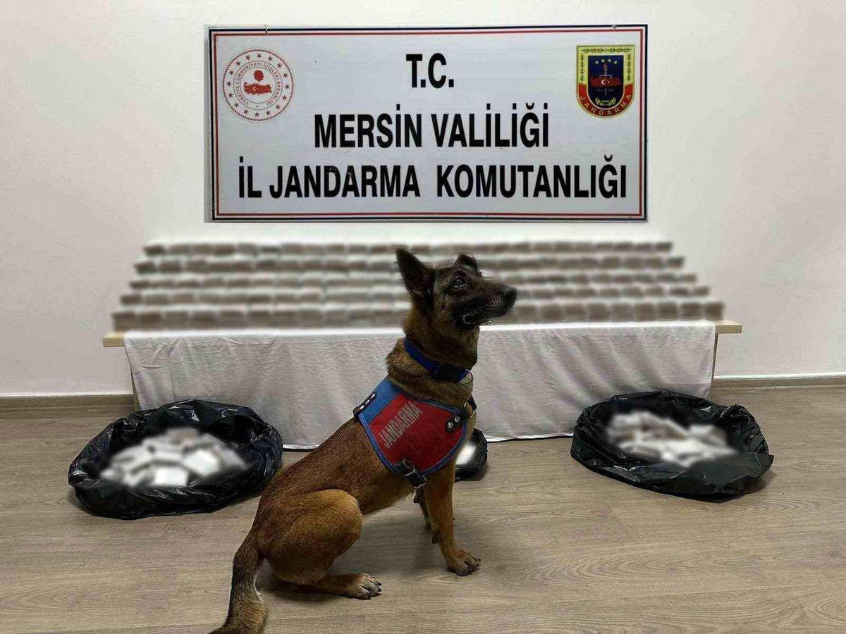 Mersin\'de 61 Bin 700 Adet Kaçak Makaron Ele Geçirildi, 3 Şüpheli Yakalandı