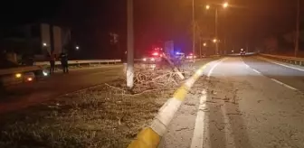 İzmit'te otomobil refüje çıkarak ağaca çarptı: 5 yaralı