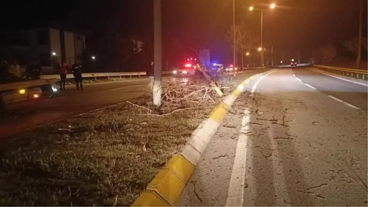 İzmit'te otomobil refüje çıkarak ağaca çarptı: 5 yaralı