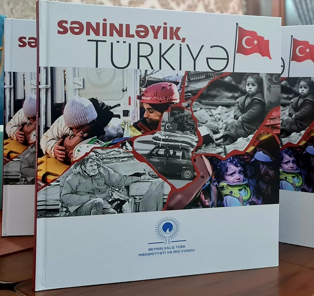 Uluslararası Türk Kültür ve Miras Vakfı tarafından \'Seninleyiz Türkiye\' adlı antoloji yayımlandı