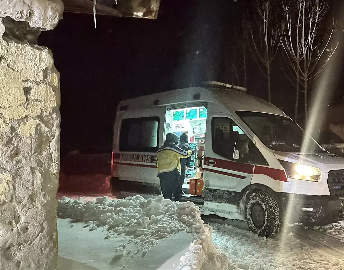 Van\'da sobadan sızan gazdan etkilenen anne ve oğlu hastaneye ulaştırıldı