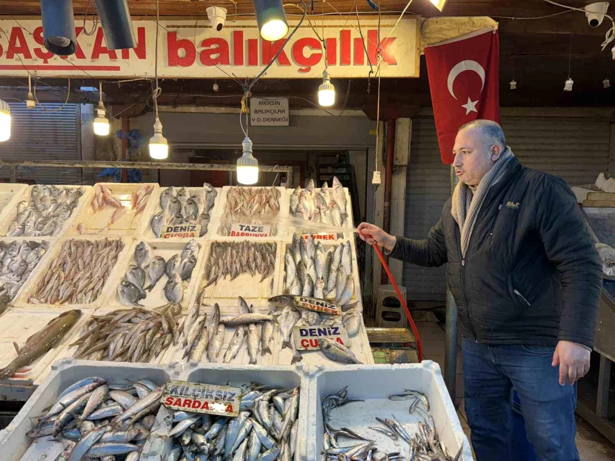 Akdeniz\'de Balık Bolluğu: Balıkçılar Ucuz Balık Tüketmeye Çağırıyor