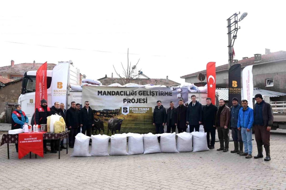 Balıkesir Büyükşehir Belediyesi, Manda Yetiştiricilerine Destek Sağlıyor