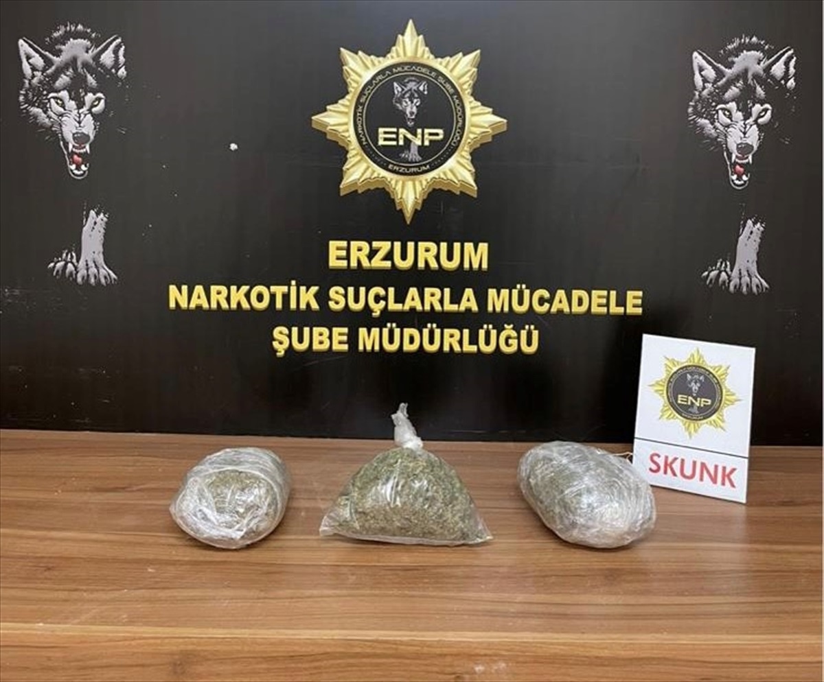 Erzurum\'da polis operasyonunda 8 şüpheli gözaltına alındı