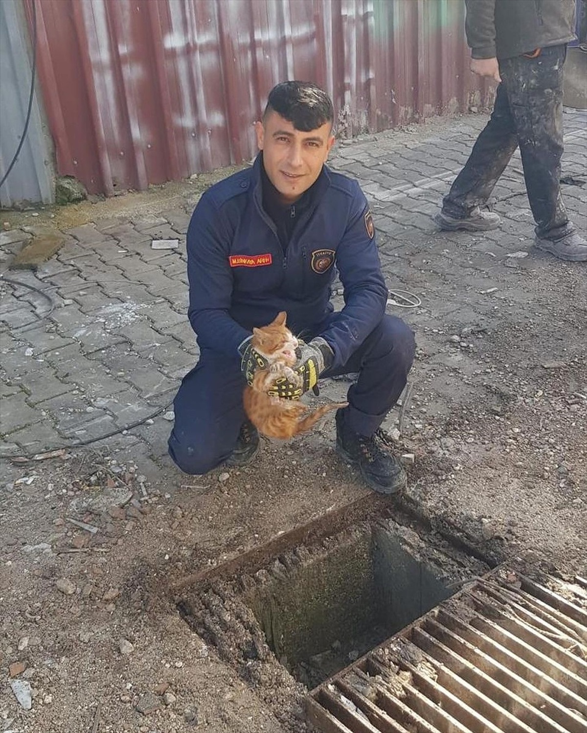 Antakya\'da mazgalın içinde sıkışan kedi itfaiye ekiplerince kurtarıldı