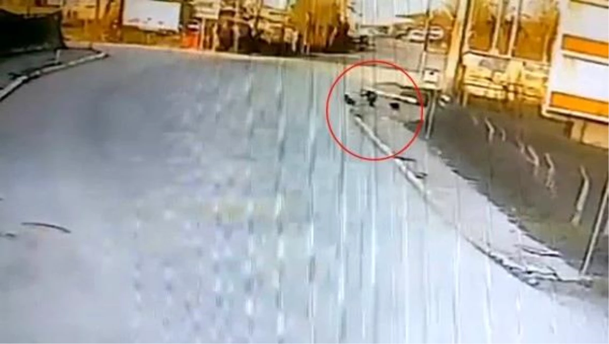 Okul yolunda köpek saldırısına uğrayan çocuğu çevredekiler kurtardı