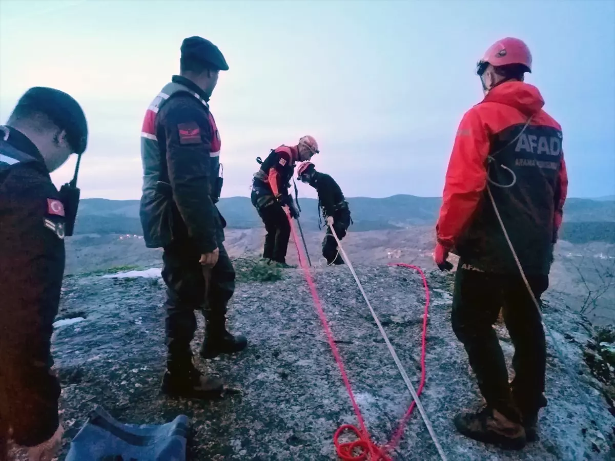 Karabük\'ün Eflani ilçesinde mahsur kalan köpek AFAD ekiplerince kurtarıldı