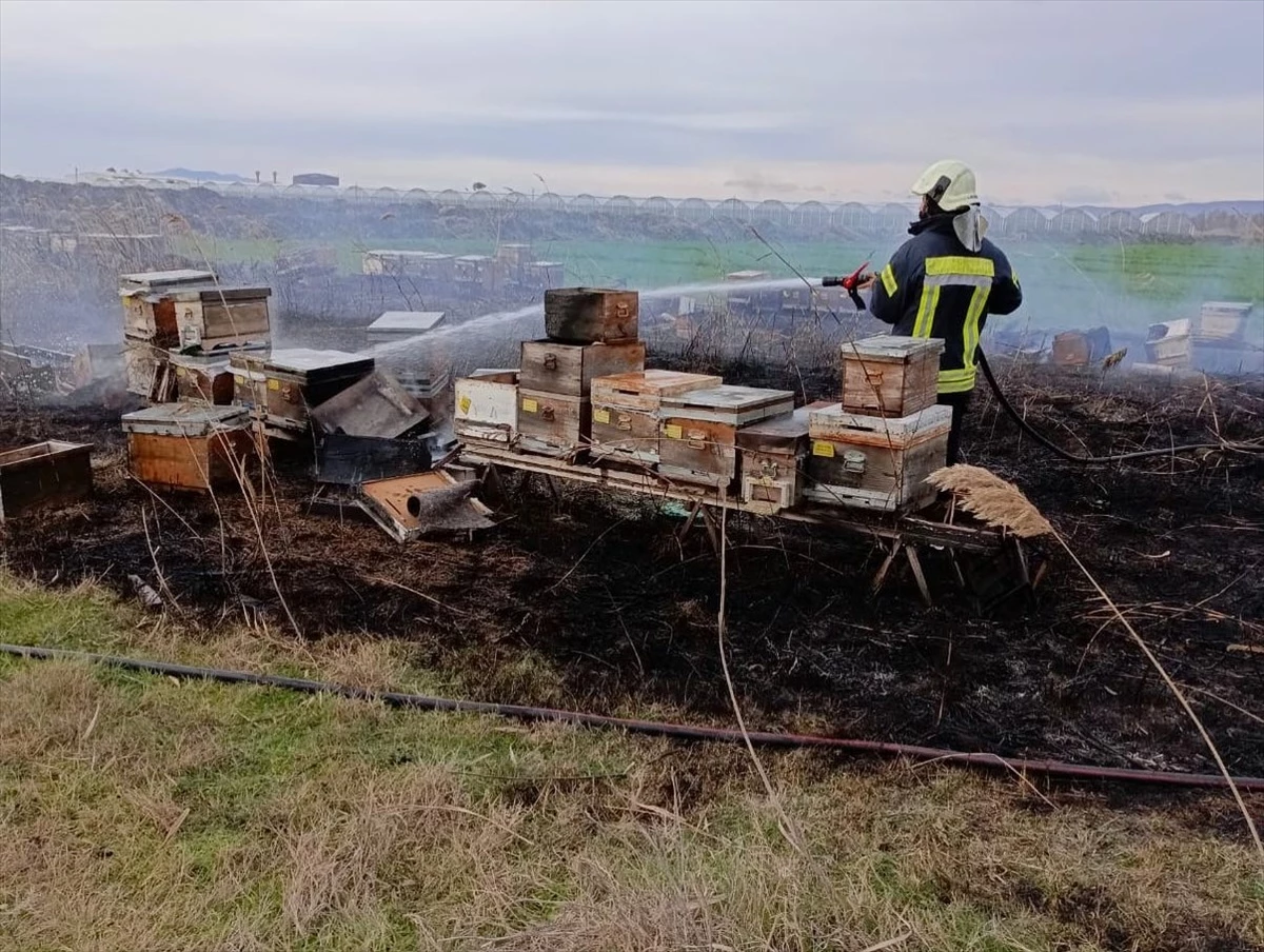 Salihli\'de çıkan ot yangınında 30 arı kovanı hasar gördü