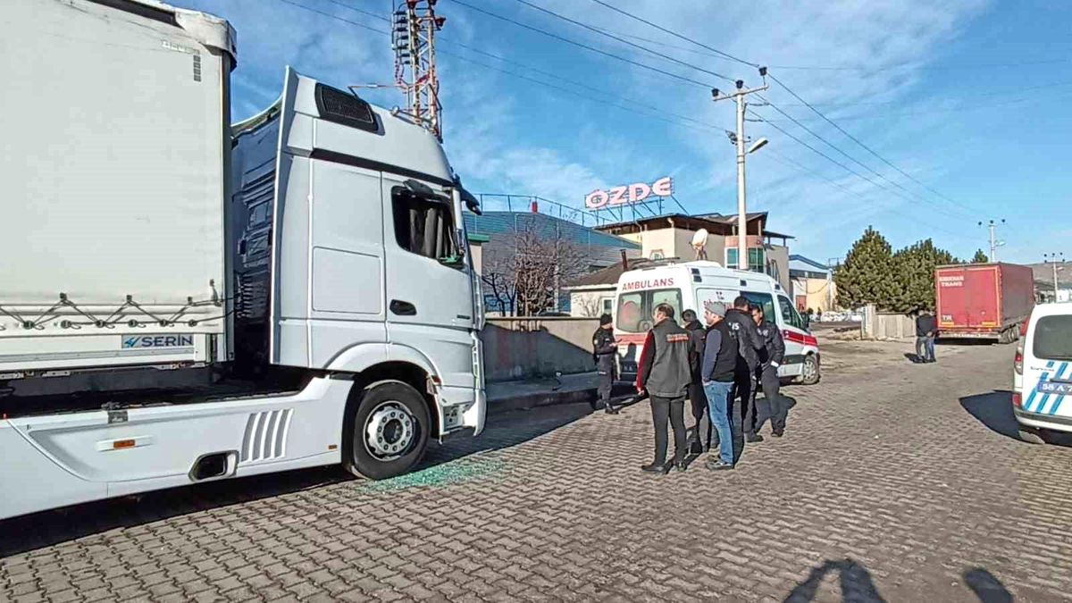 Sivas\'ta bir tır şoförü ölü bulundu