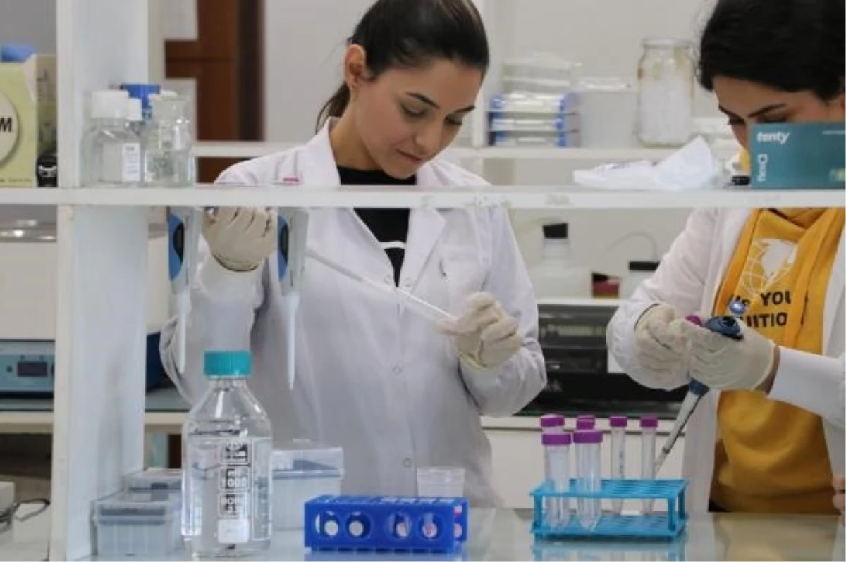Ankara Üniversitesi Tıp Fakültesi, Beyin Tümörüne Karşı Akıllı İlaç Projesinde Faz Aşamasına Geçti