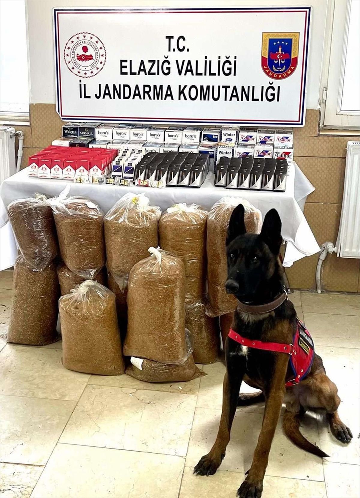Elazığ\'da kaçakçılık operasyonunda bir şüpheli gözaltına alındı