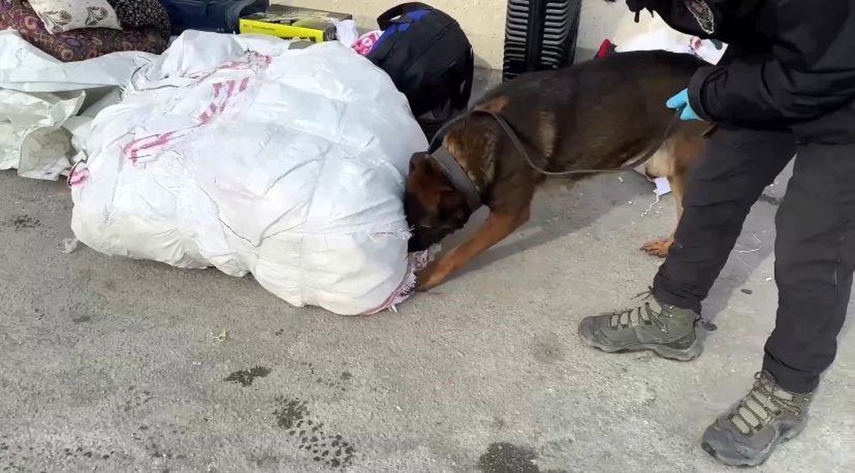 Erzincan\'da 16 milyon TL değerinde 55 kilo uyuşturucu ele geçirildi