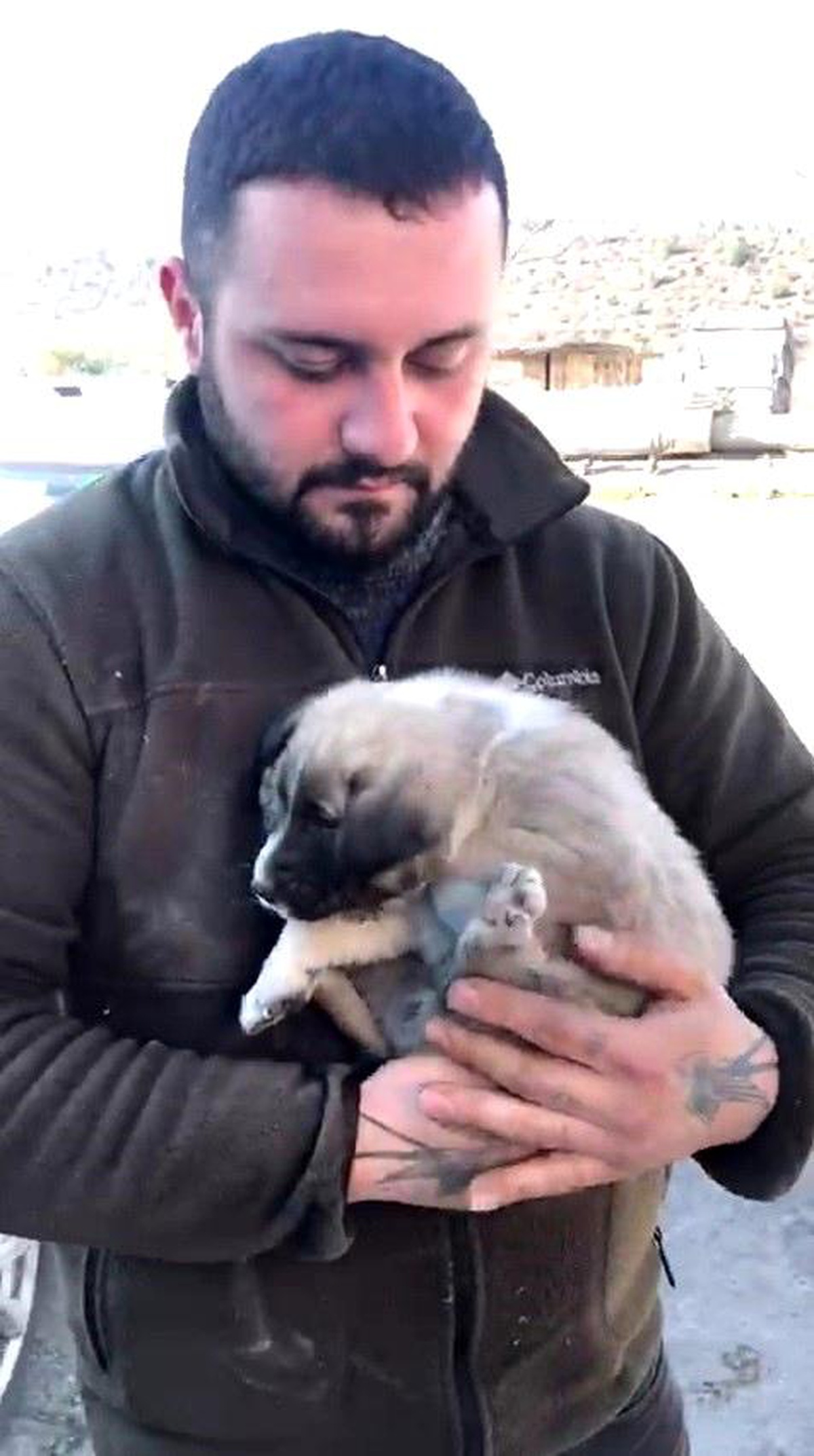 Safranbolu\'da hurda aracın altında sıkışan yavru köpek kurtarıldı