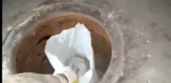 Bitlis'te Tandıra Gizlenmiş 10 Kilo Skunk Ele Geçirildi