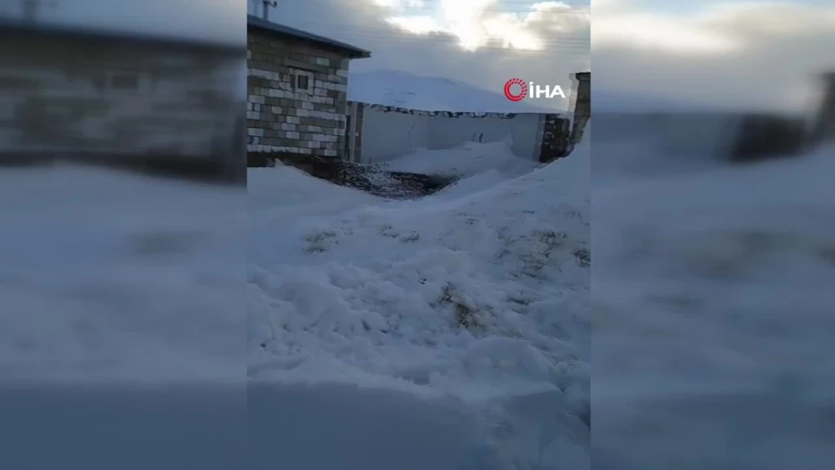 Van\'da kar esareti: Ev ve ahır kar kütlesiyle kapandı, hayvanlar mahsur kaldı