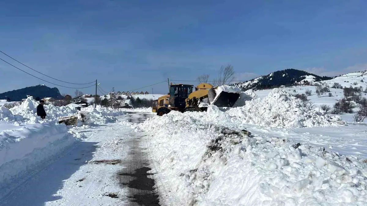 Artvin\'de çığ altında kalan iş makinesi operatörü kurtarılamadı