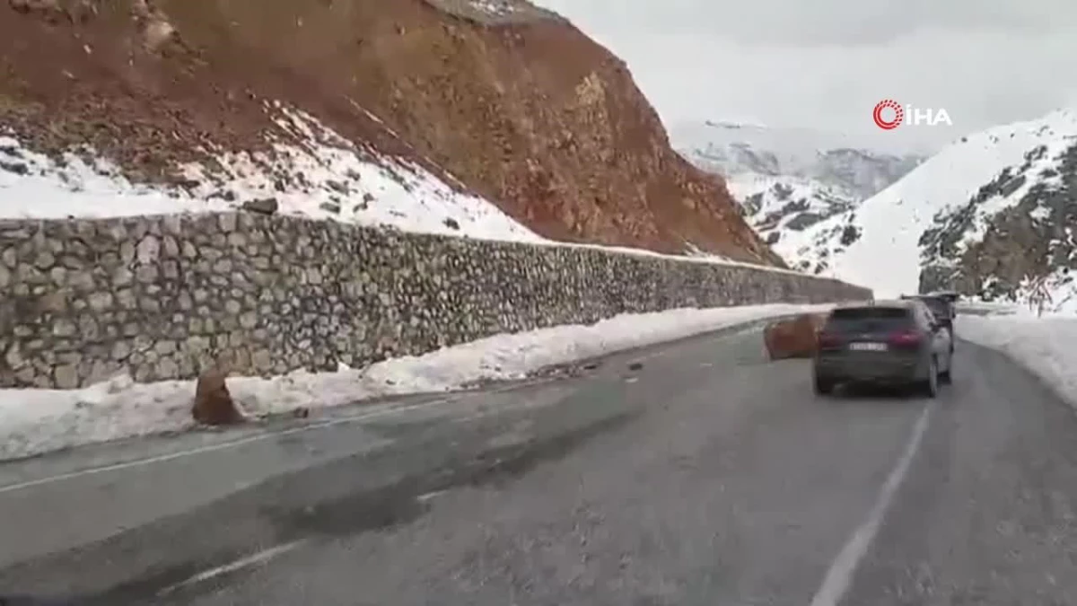 Bitlis\'te yola düşen kayalar sürücülere zor anlar yaşattı