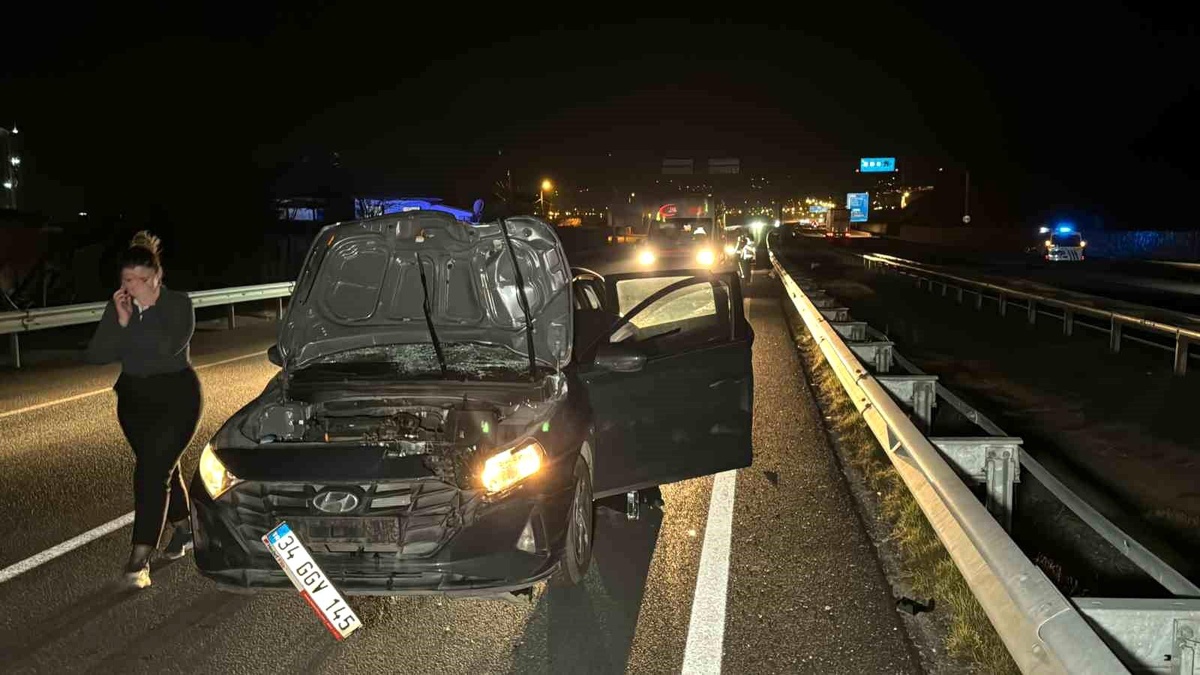 Düzce\'de çevre yolunda otomobilin çarptığı yaya hayatını kaybetti