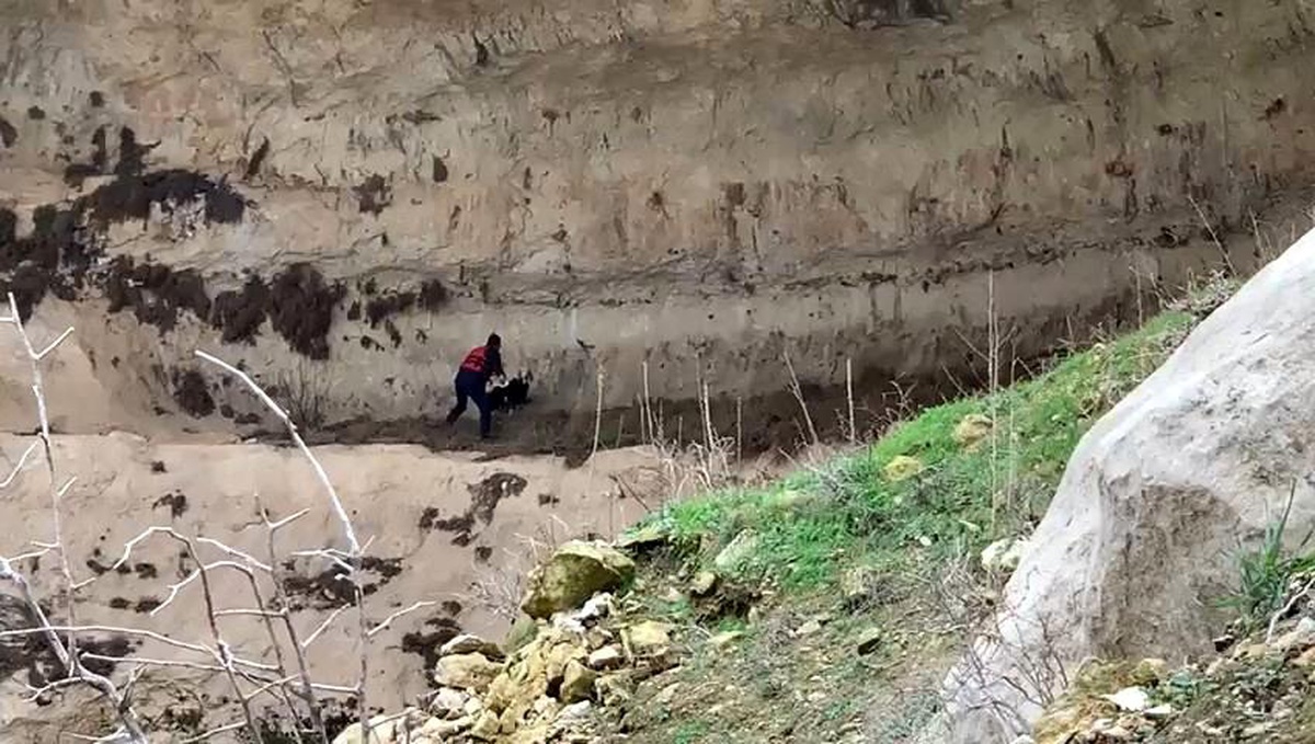Batman\'da itfaiye eri, kayalıklarda mahsur kalan keçiyi sırtında taşıyarak aşağı indirdi