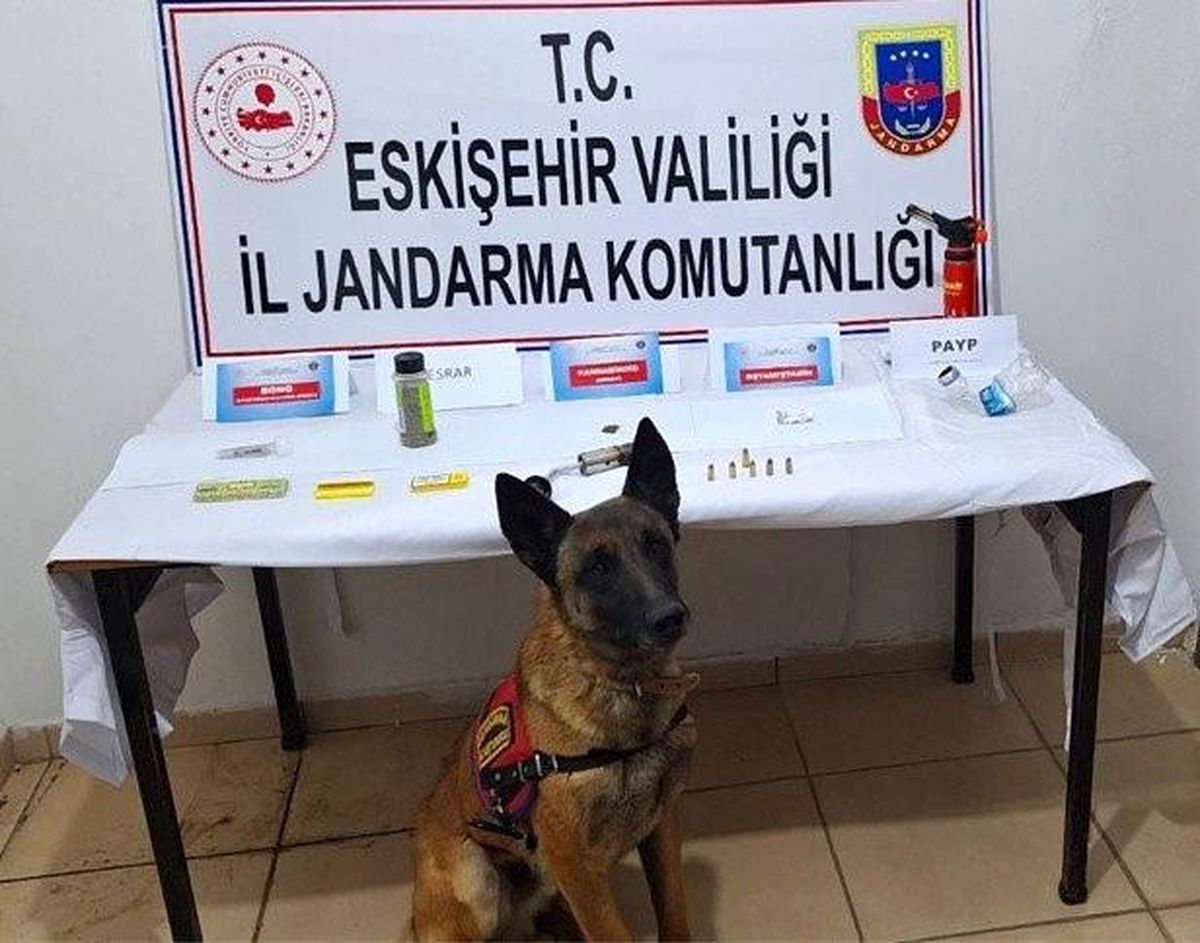 Eskişehir\'de Uyuşturucu Operasyonu: 1 Tutuklama