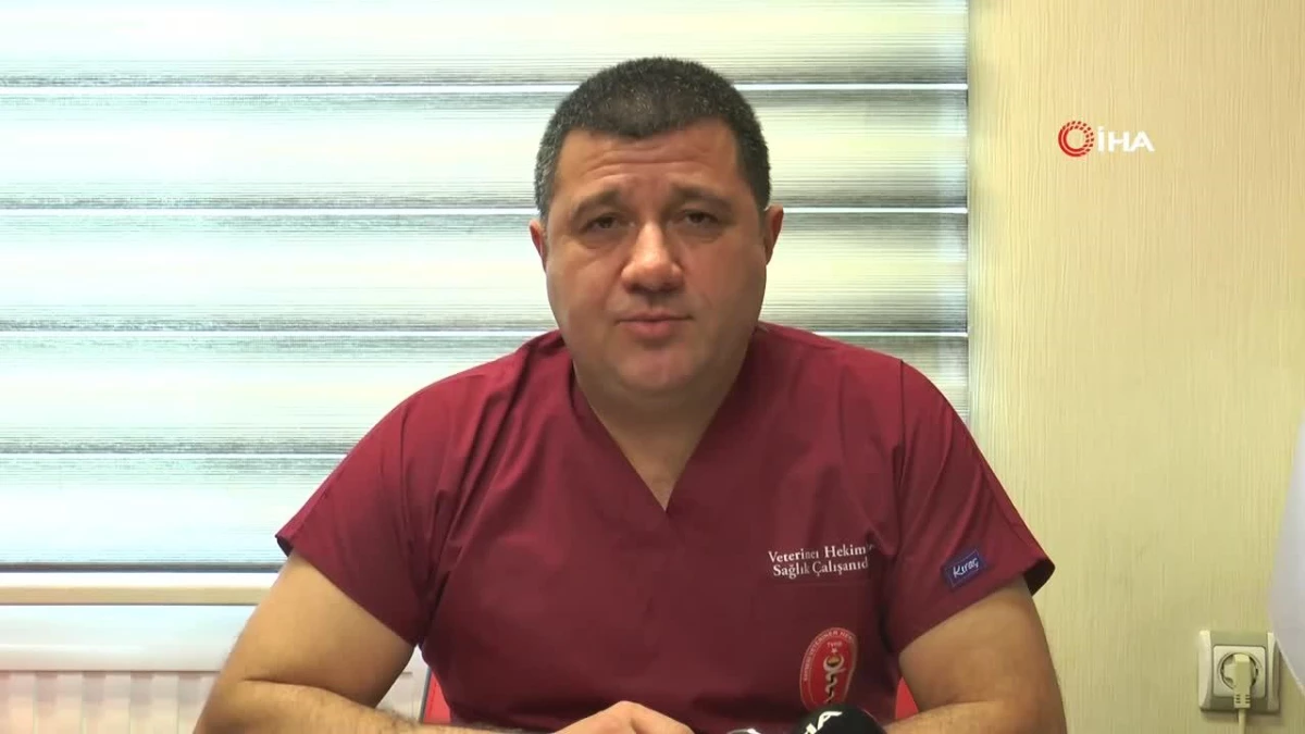 Kayseri Veteriner Hekimler Odası Başkanı Ergül: Veteriner hekimlerin de sağlıkta şiddet yasası kapsamına alınmasını talep ediyoruz