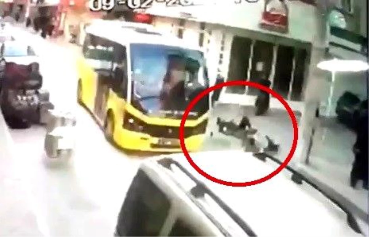 Bursa\'da Bisiklete Minibüs Çarptı: 1 Ölü, 1 Ağır Yaralı