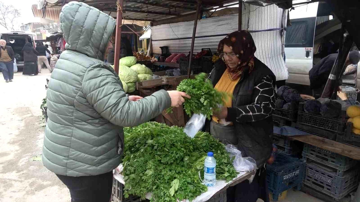 Hatay\'da Kira Parası Çalınan Kadın Minibüste Yaşamını Sürdürdü