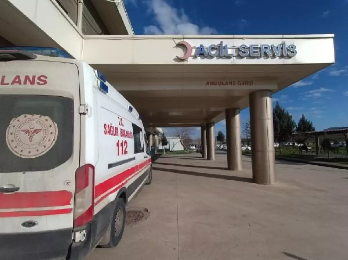 Diyarbakır'da Başıboş Köpeklerin Saldırısına Uğrayan Kız Çocuğu Yaralandı